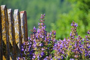 Feilerhof Chiusa / Alto Adige 03