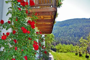 Feilerhof Klausen in Südtirol 09