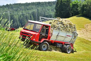 Familienurlaub auf dem Bauernhof 10